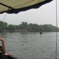 IMG_5594.JPG